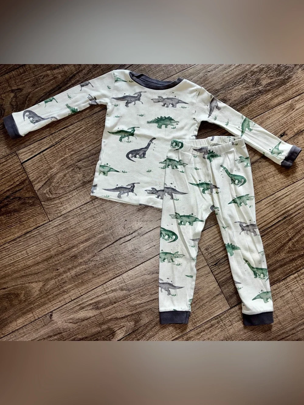Burt's Bees Green and Gray Dinosaur Pajama Set